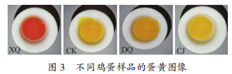 微信圖片_20250226160902